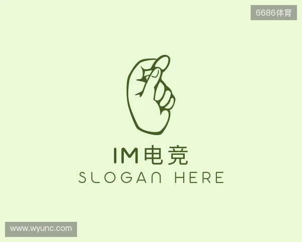 了解im电竞