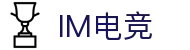 IM(股份有限公司)电竞-电子竞技平台